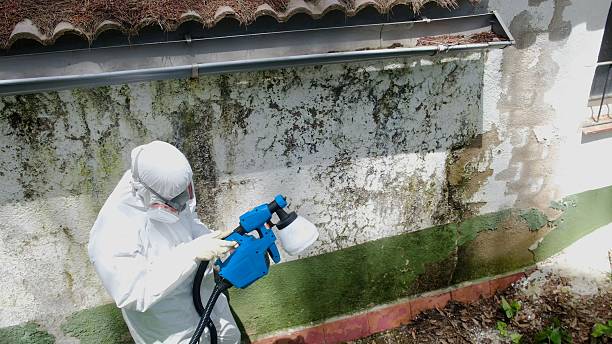 Top rated local Mold Removal specialists in Louisville, GA
